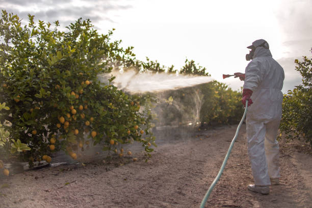 Best Pest Removal Services  in Abingdon, MD