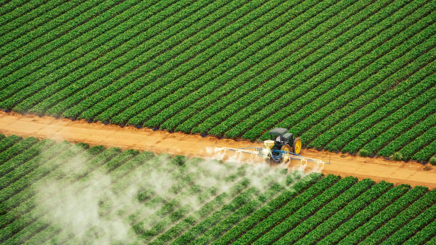 Professional Pest Control in Abingdon, MD
