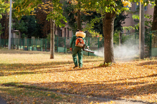 Best Flea Control Services  in Abingdon, MD